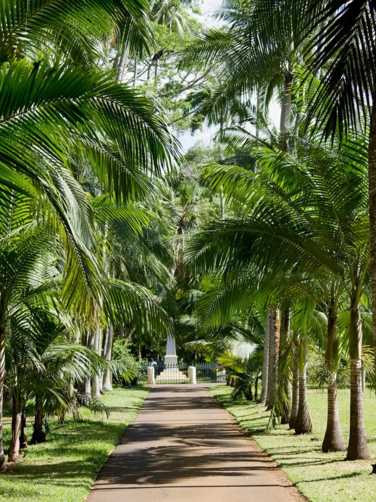 Mauritius körutazás botanikus kert